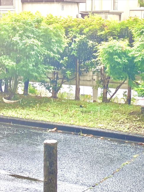 空が綺麗